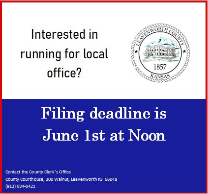 Interested in Running For Office